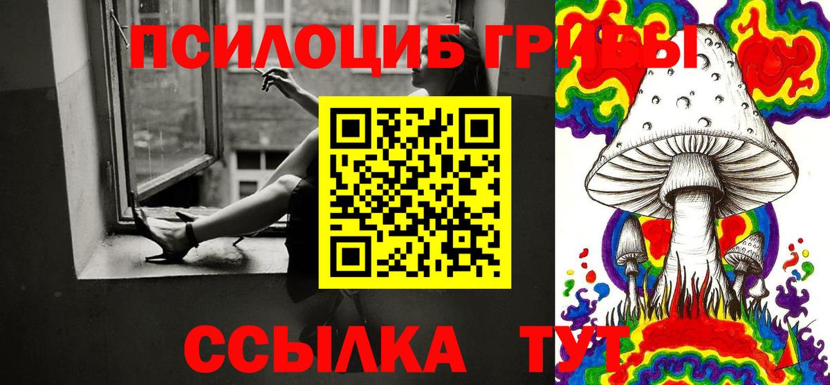 Галлюциногенные грибы Psilocybe  Псилоцибиновые грибы Psilocybine cubensis  Дальнереченск  Вход с VPN 